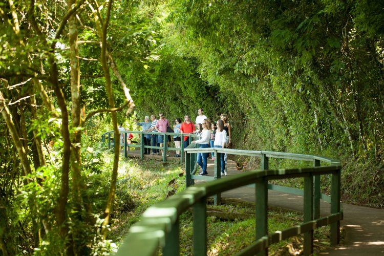 Mais tempo para fugir da folia e aproveitar o carnaval no Parque Nacional do Iguaçu