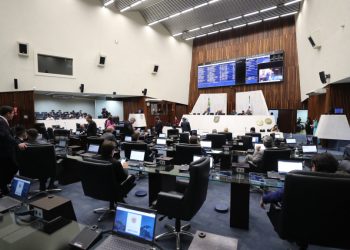 Deputados querem proibir que agências de modelo tenham acesso a escolas do Paraná