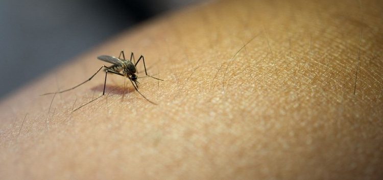 Ainda está em investigação a causa da morte do adolescente com suspeita de dengue hemorrágica