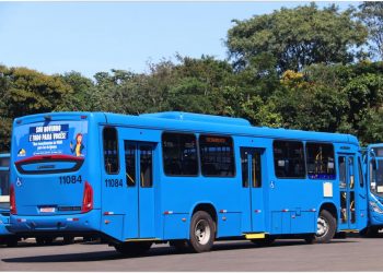 Transporte coletivo de Foz do Iguaçu recebe reforço de 12 ônibus zero km