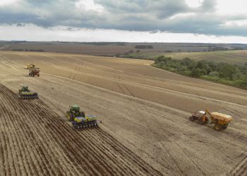 Paraná irá colher a maior safra de soja da história