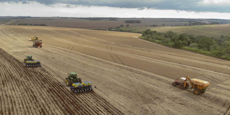 Paraná irá colher a maior safra de soja da história