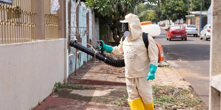 Fotos: Thiago Dutra/PMFI