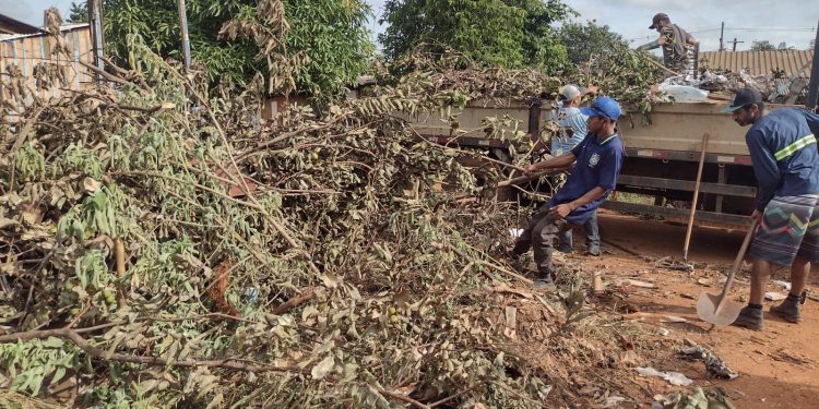 Prefeitura começa mobilização de combate ao mosquito da dengue em Foz