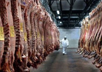 Carne paraguaia registra recorde de exportação