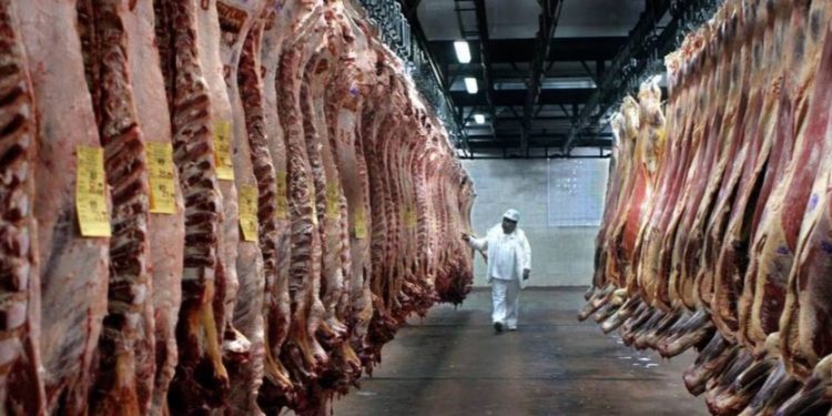 Carne paraguaia registra recorde de exportação