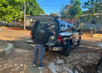 Foto: Polícia Civil