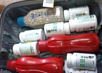 Casal brasileiro é preso com anfetaminas no aeroporto em Porto Iguaçu, Argentina