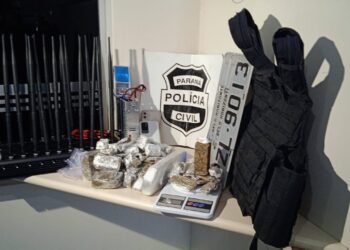 Foto: Polícia Civil