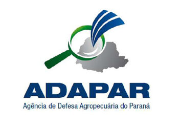 Confirmado o primeiro caso de gripe aviária no Paraná