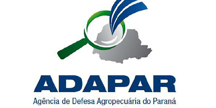 Confirmado o primeiro caso de gripe aviária no Paraná