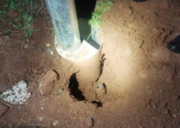 Furto de cabos deixa às escuras trecho urbano BR 277 em Foz