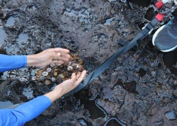 Foto: Urbia/Cataratas