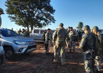 Brasil e Paraguai iniciam operação de combate a plantações de maconha