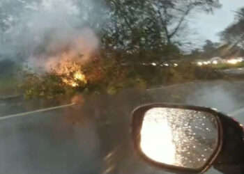Vento de 80km/h deixa 60 mil consumidores sem luz nas regiões oeste e sudoeste