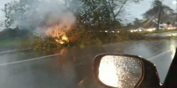 Vento de 80km/h deixa 60 mil consumidores sem luz nas regiões oeste e sudoeste