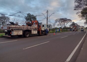 Técnicos da Copel trabalham na recuperação da rede elétrica, afetada pelo temporal dessa quarta-feira