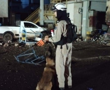 Foto: Corpo de Bombeiros