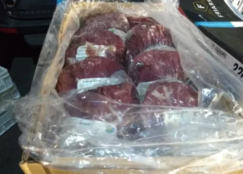 Receita Federal faz grande apreensão de carnes nobres e queijos contrabandeados da Argentina