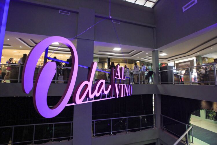 Parceria entre Oda al Vino e Visit Iguassu traz influencers de vinho para o Destino Iguaçu