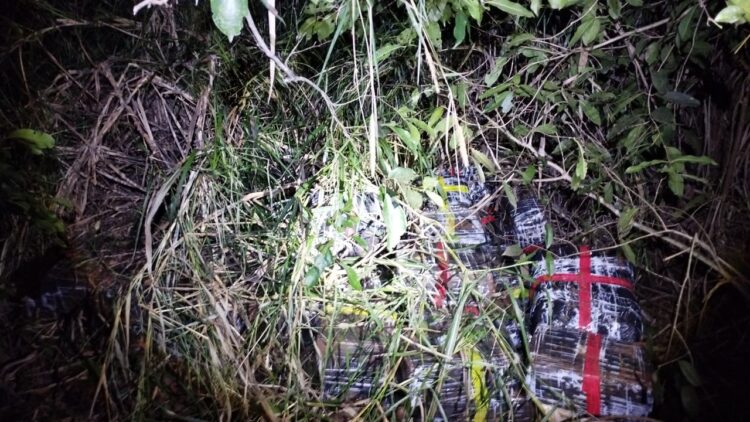 Forças de segurança apreendem 670 kg de maconha em Itaipulândia
