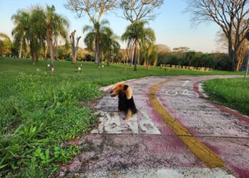 Foto: Kleber da Silva/Itaipu Binacional