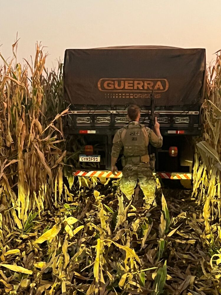 PRF apreende quase 1 milhão de maços de cigarros em menos de 8 horas