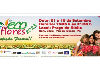 Tradicional feira de flores começa na próxima sexta-feira (01), em Foz do Iguaçu