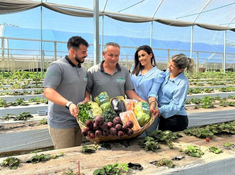 Exemplo que passa de pai para filhos, família é referência na produção de orgânicos em Foz do Iguaçu