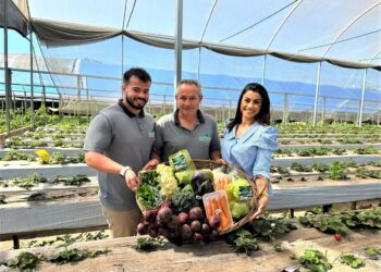 Exemplo que passa de pai para filhos, família é referência na produção de orgânicos em Foz do Iguaçu