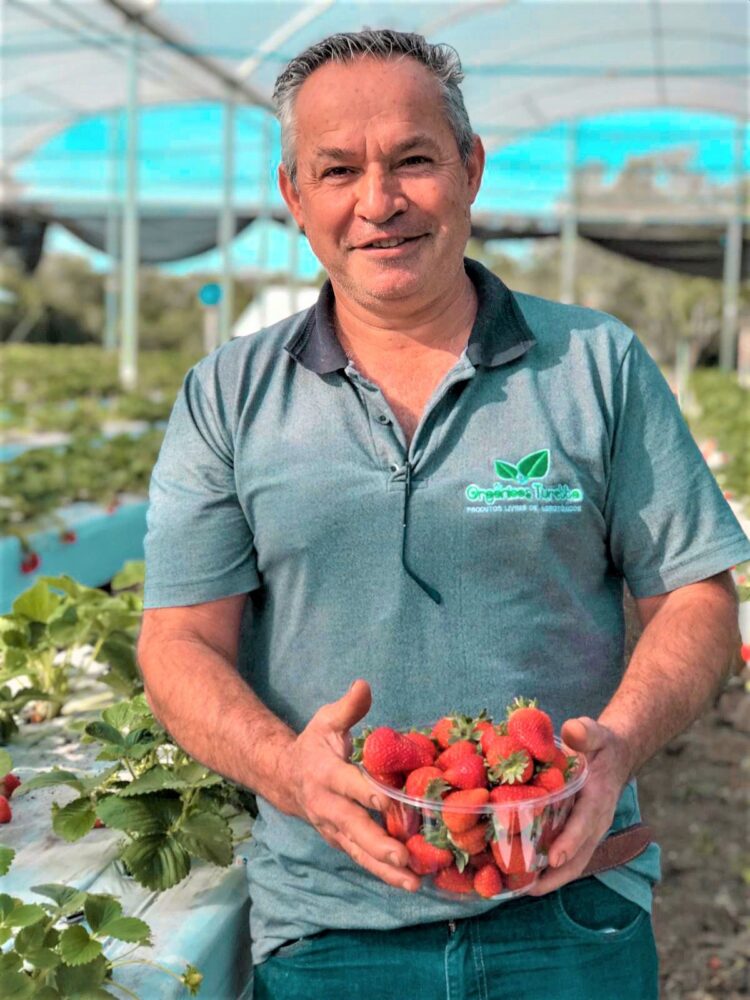 Exemplo que passa de pai para filhos, família é referência na produção de orgânicos em Foz do Iguaçu