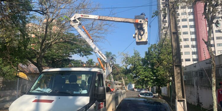 Copel e prefeitura começam operação “limpa poste” em Foz
