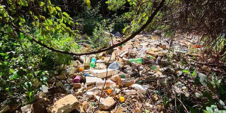 Voluntários preparam ato em defesa do Rio Almada, em Foz do Iguaçu