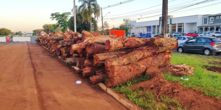DNIT diz que construtora poderá retirar troncos de árvores empilhados no Trevo do Carimã