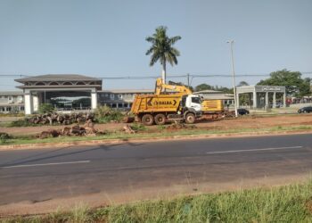 Retirada dos troncos de árvores do Trevo Carimã está chegando ao fim
