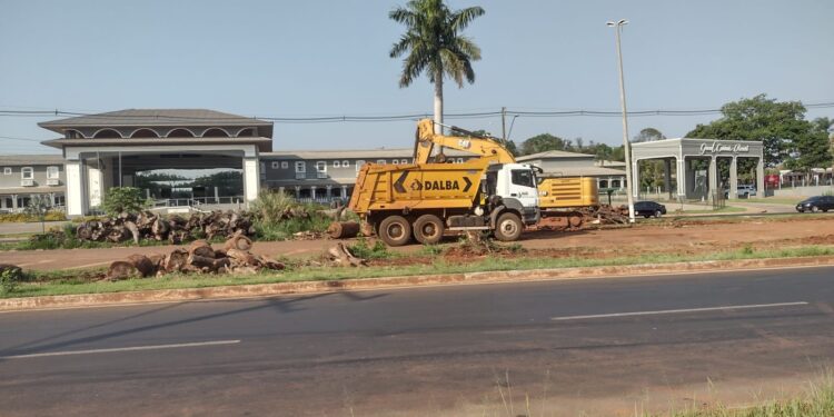 Retirada dos troncos de árvores do Trevo Carimã está chegando ao fim