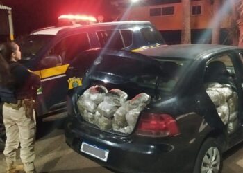 PRF encontra 204 quilos de flor de maconha em carro que tentou fugir da fiscalização na BR 277
