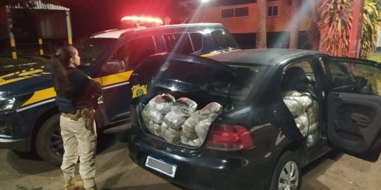 PRF encontra 204 quilos de flor de maconha em carro que tentou fugir da fiscalização na BR 277