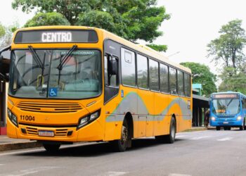 Bairros do Futuro, Mata Verde e Cognópolis ganham linha alimentadora no Transporte Coletivo em Foz