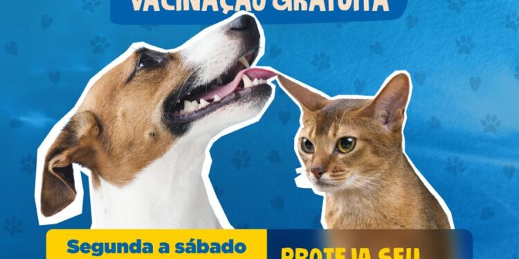 A partir dessa segunda-feira (23), CCZ começa vacinação antirrábica de cães e gatos em Foz