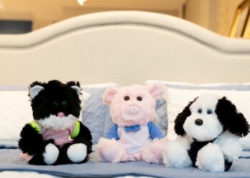 Fotos: Divulgação Assessoria