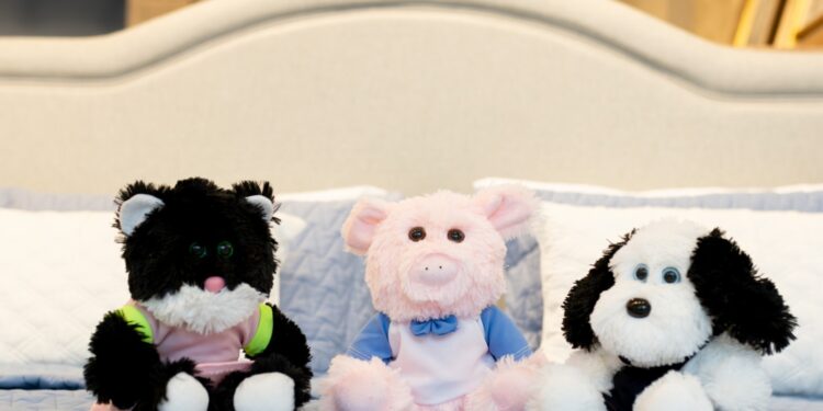 Fotos: Divulgação Assessoria