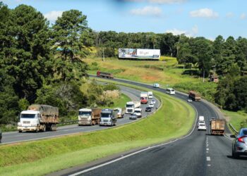 Foto: Geraldo Bubniak/AEN