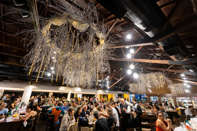 Foz do Iguaçu já entrou no clima do natal