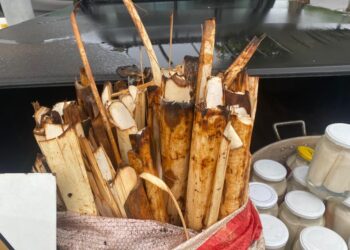 Foto: Polícia Federal