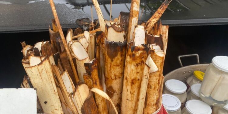 Foto: Polícia Federal