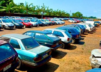 Fotos: Assessoria PMFI