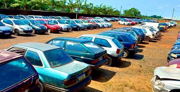 Fotos: Assessoria PMFI