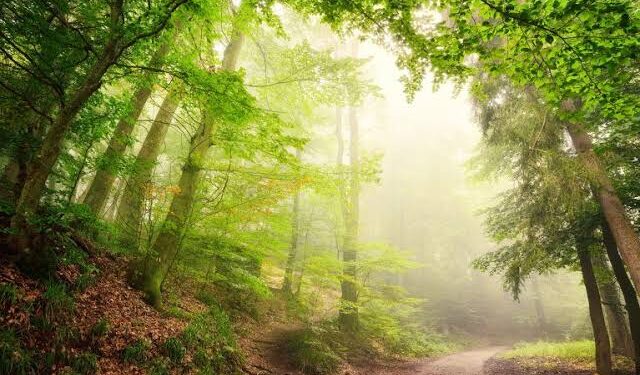 Finados: a Luz da Vida além do horizonte