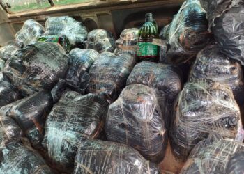 PF apreende dezenas de galões de azeite adulterado